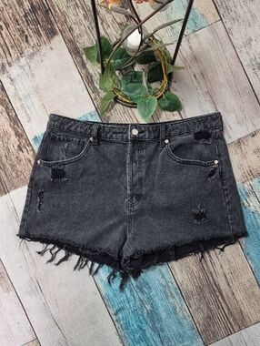 Wild Fable High Rise Shorts